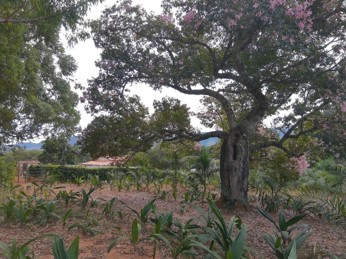 Chalé Veredas e Buritis Pirenópolis Exterior foto