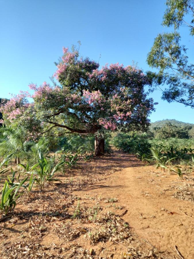 Chalé Veredas e Buritis Pirenópolis Exterior foto