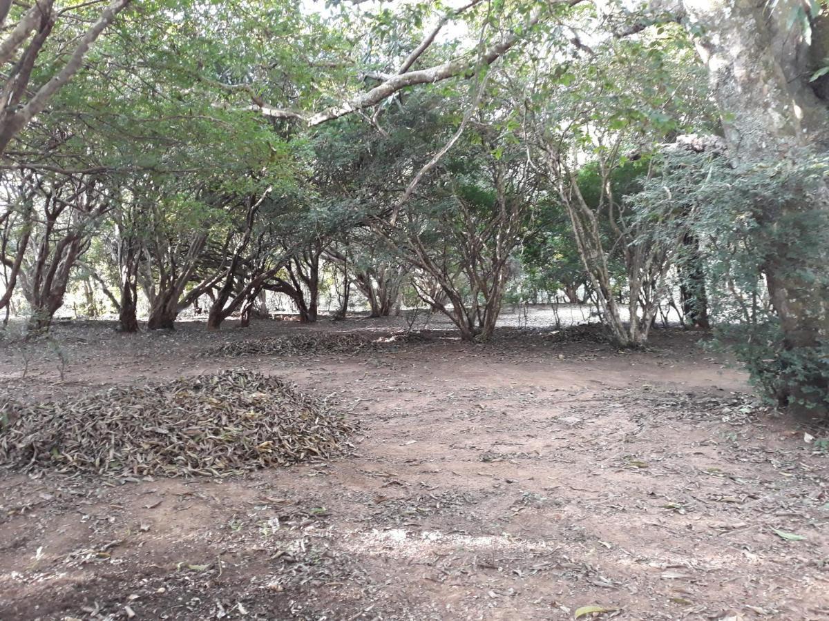 Chalé Veredas e Buritis Pirenópolis Exterior foto