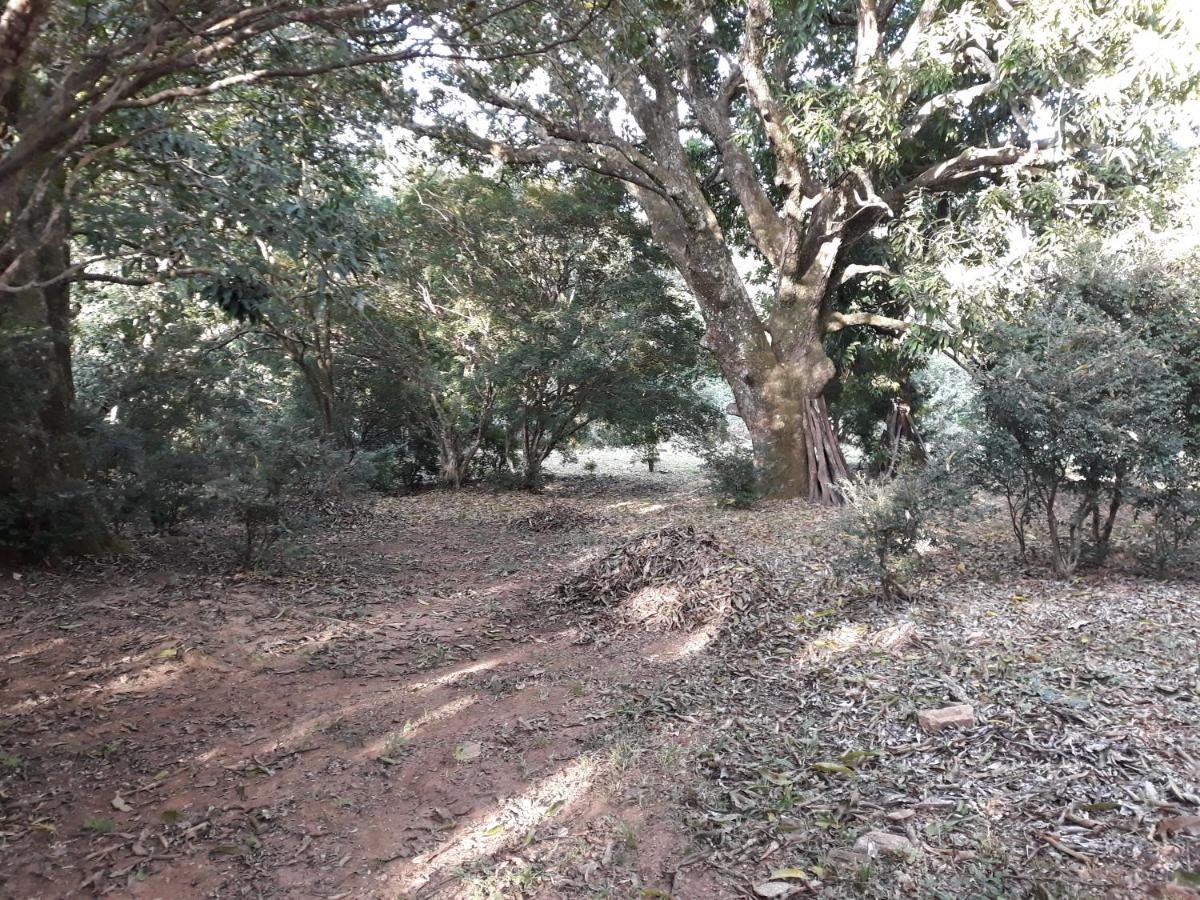 Chalé Veredas e Buritis Pirenópolis Exterior foto