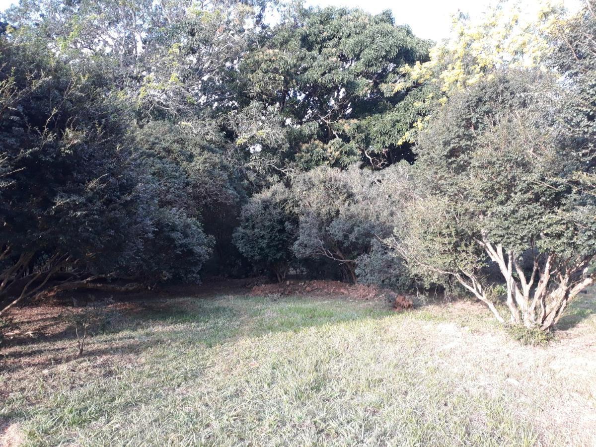 Chalé Veredas e Buritis Pirenópolis Exterior foto