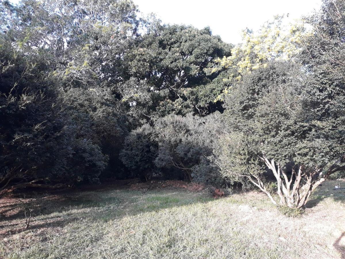 Chalé Veredas e Buritis Pirenópolis Exterior foto